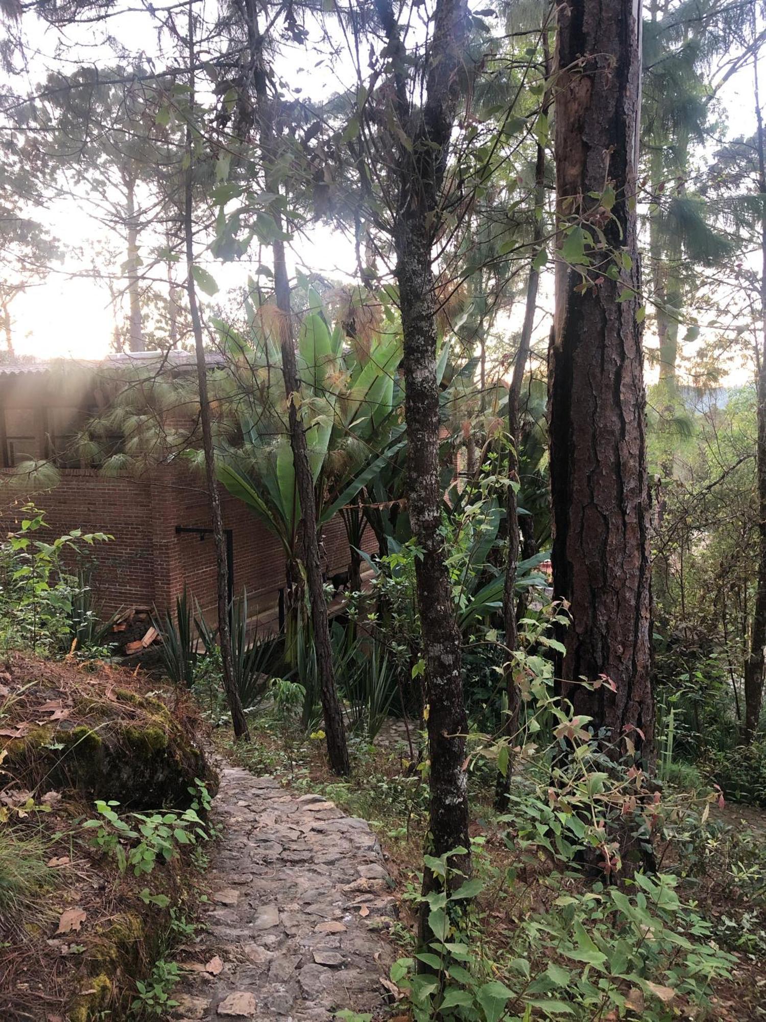 Xomue Bed & Breakfast Valle de Bravo Bagian luar foto
